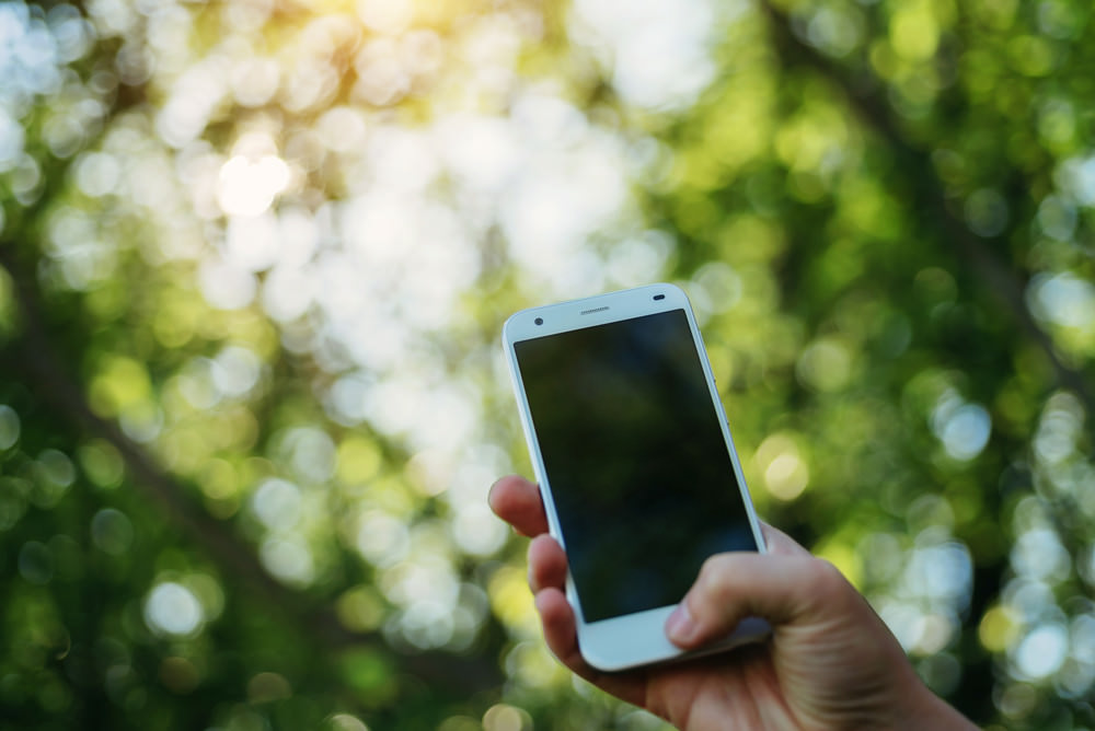 ecommerce optimize page load speeds so you don't get like in the photo on the mobile a blank screen