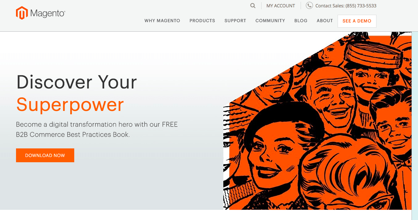 Magento is a popular e-commerce solution