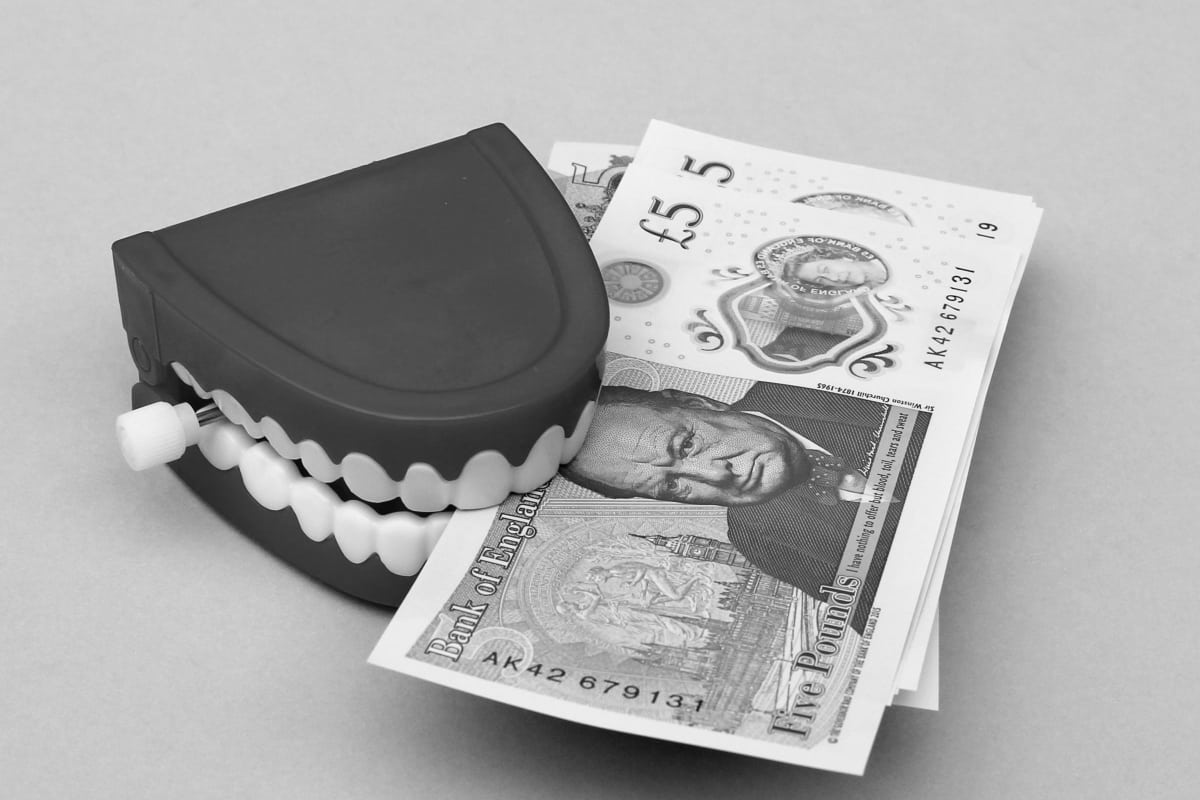 If the crowdfunding campaign isn't successful in reaching its targets, all investors get their money returned.